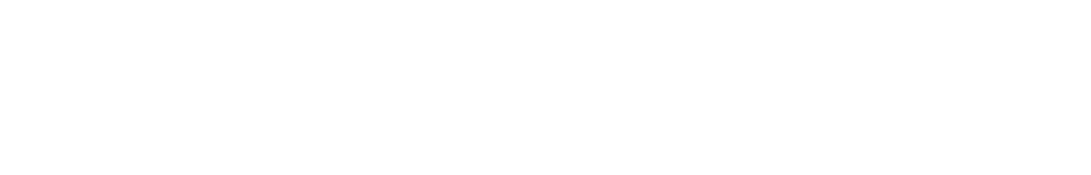 Organización Sanchez